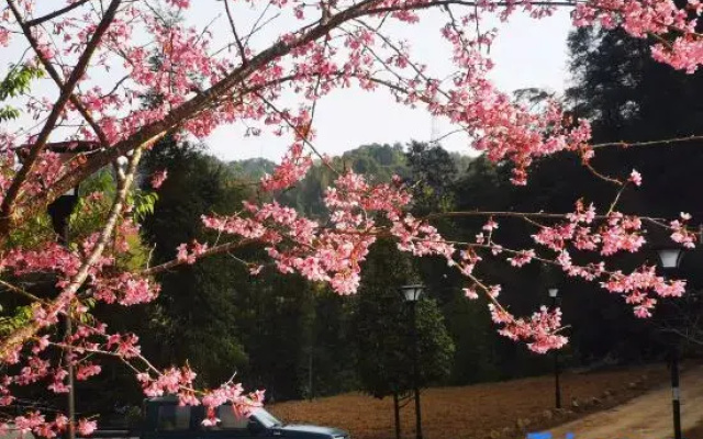 Longmen Nankunshan Yuanshang Homestay
