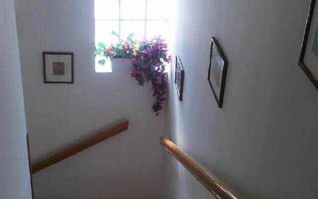 Filip - Comfortable - H