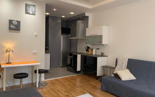 Big studio close to center with WiFi
