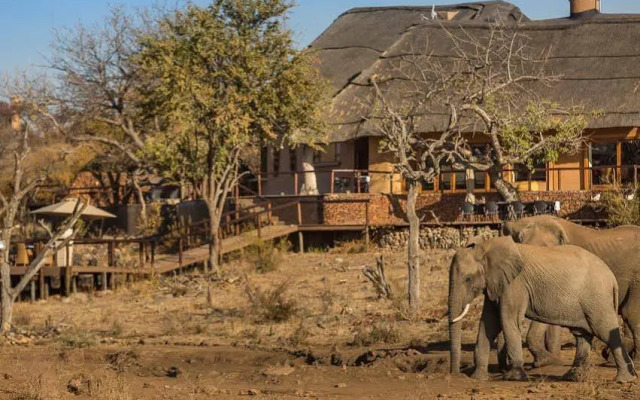 Royal Madikwe Luxury Safari Lodge