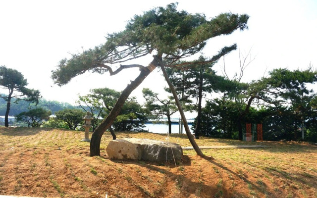 Anseong M Hotel