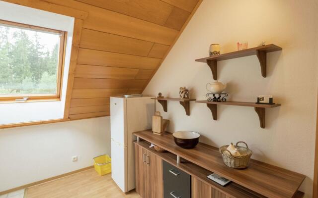 Modern Apartment in Bad Grund wit Garden