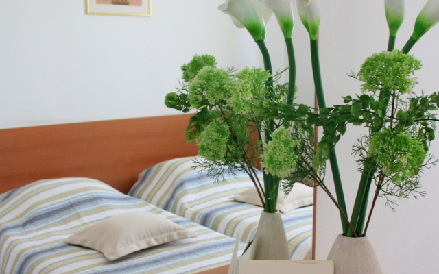 Hotel Dujam