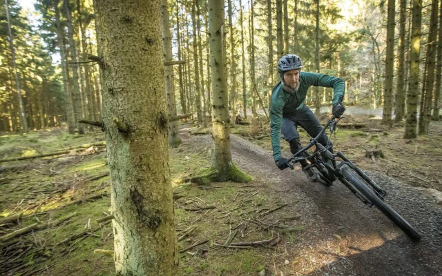 4 Person Holiday Home in Ronne