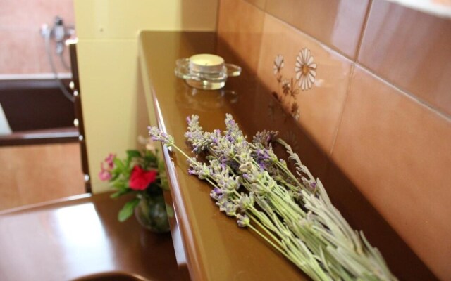 Schöne Ferienwohnung mit Terrasse, Roses