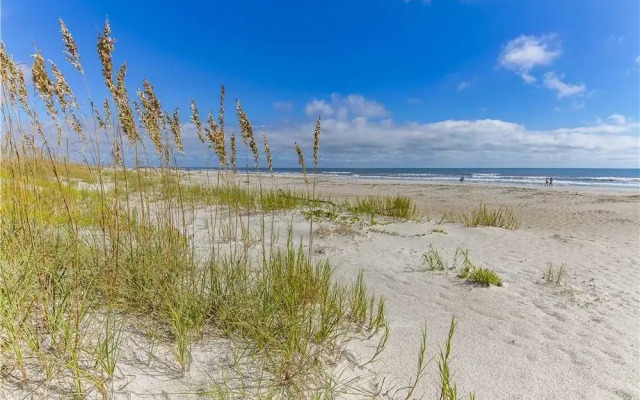 Bluefish 16 - Four Bedroom Condo