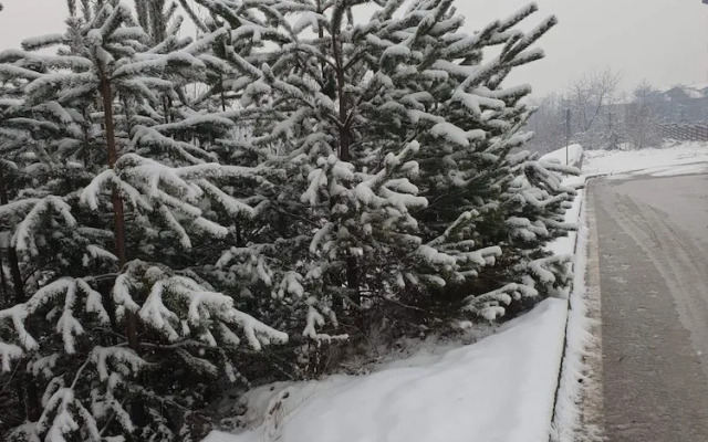 Royal Bansko Aparthotel