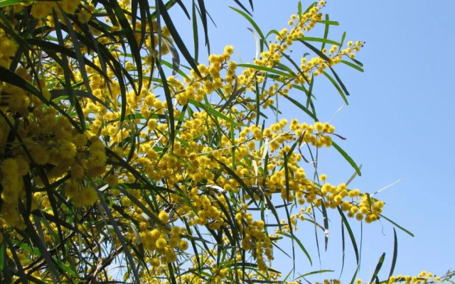 Quinta Sobral Prestige