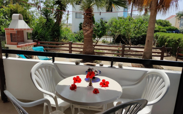 Palm garden paradise