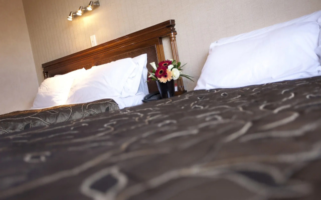 Distinction Coachman Hotel, Palmerston North
