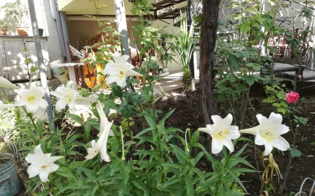 Tsera Hostel