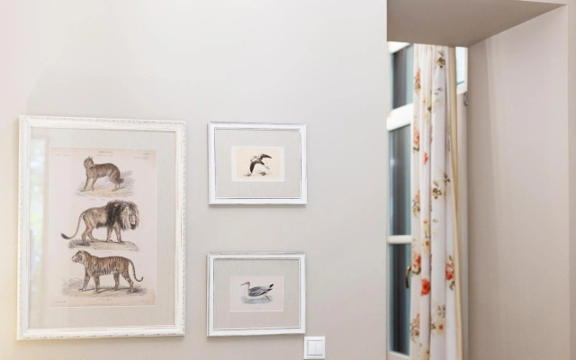 Gatto Perso Luxury Apartments