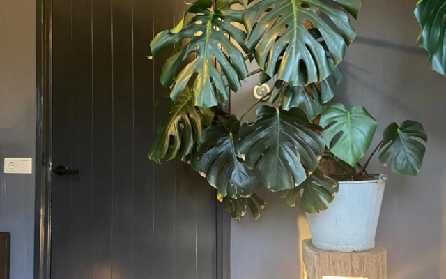 Vakantiehuis Hof Molenzicht