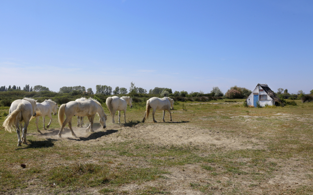 Club Village Camarguais