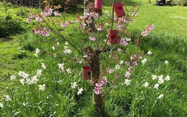 Forest view Bed and Breakfast