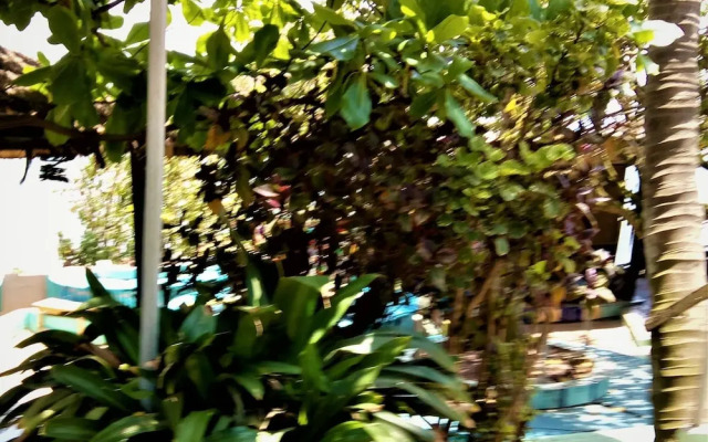 Rising Phoenix Magic Beach Resort