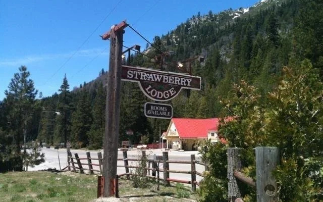 Strawberry Lodge