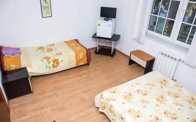 Guest house  Alina on Lenin street