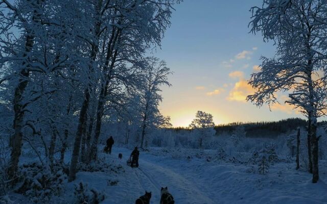 Vestvatn - Arctic Cabins