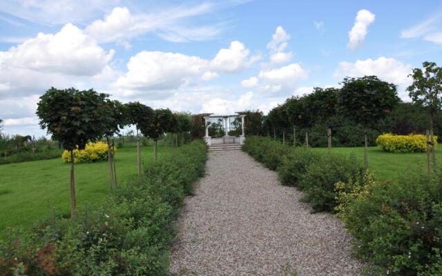 Restauracja - Hotel Pałacowa