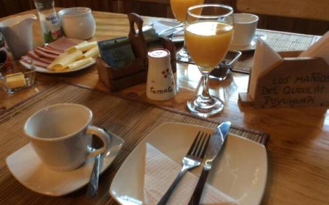 Los Mañíos Del Queulat