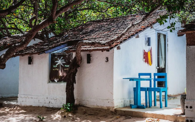 Sao Bien Cam Ranh
