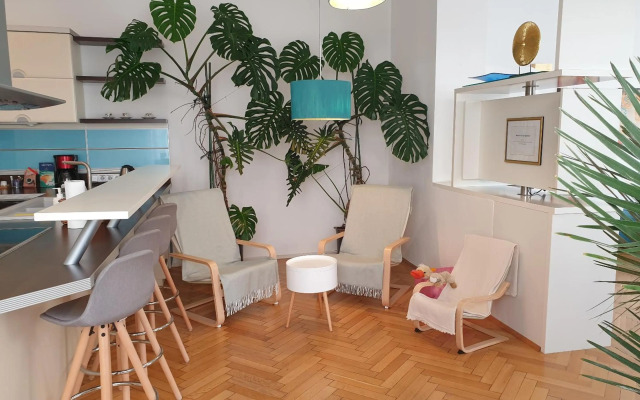 Sunny and spacious apartment near city centre