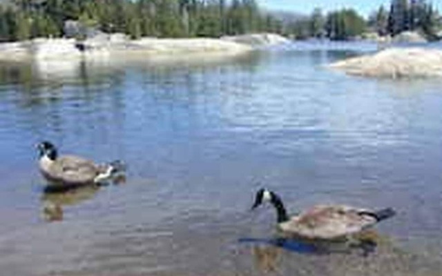 3-level Getaway Kids, Dogs Ev Friendly