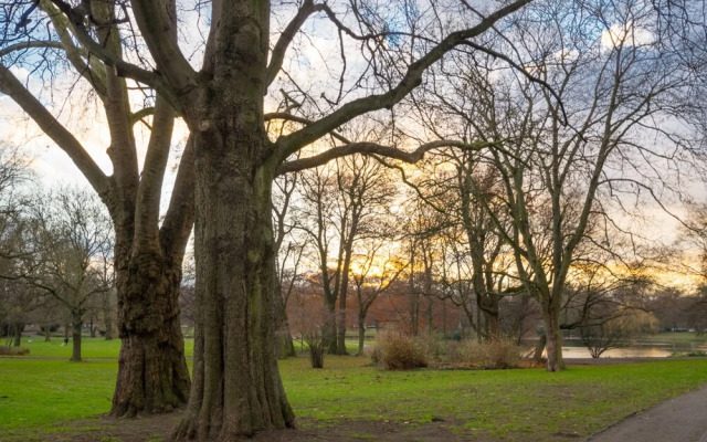 Private Apartment Heinrich-Kümmel-Straße