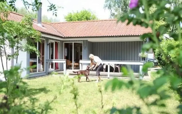Ferienhaus im Ferienpark Mirow