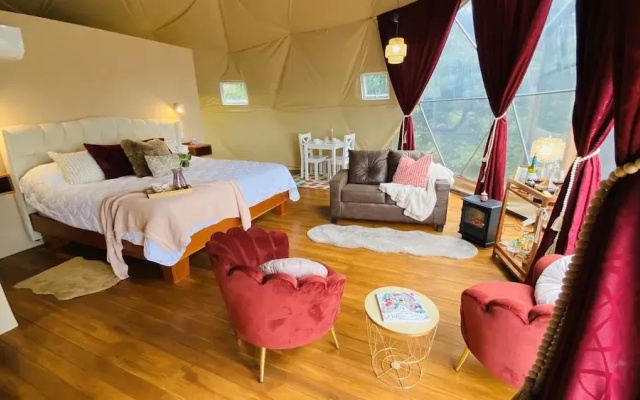 FéLIZA Rainforest Domes