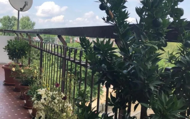 Venice h.s.Garden Home