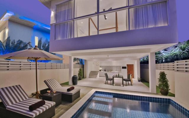 Samui Blue Orchid