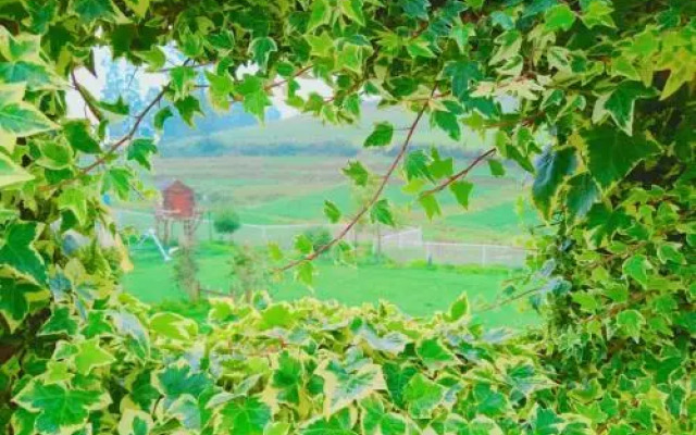 Fitness De Royale Organic County