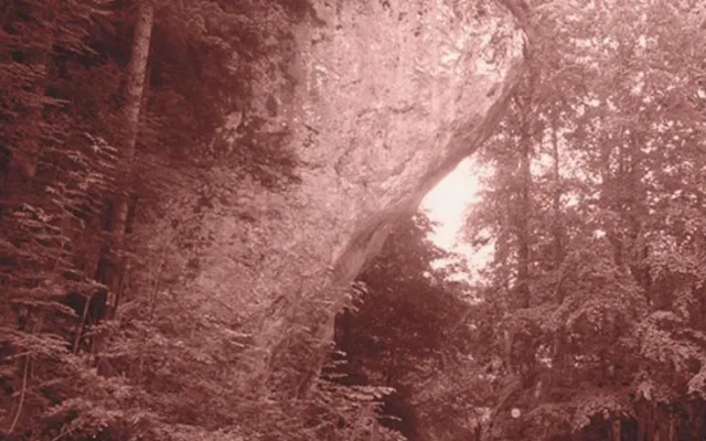 Landgasthof Lindenwirt