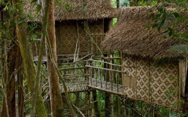 Terra's Tree House