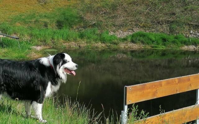 Ferienwohungen im Kuchersbach