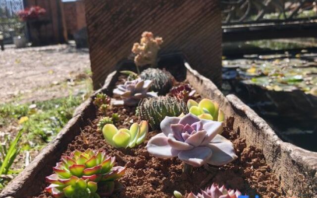 Lijiang junayuanzhu Homestay