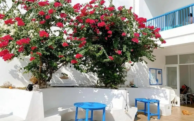 Blue Anchor Lodge & Cafe-Binh Ba Island