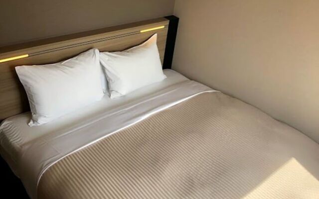 Sotetsu Fresa Inn Tokyo-Kanda