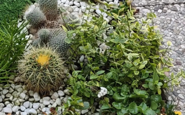 Movie Star Apartment with garden