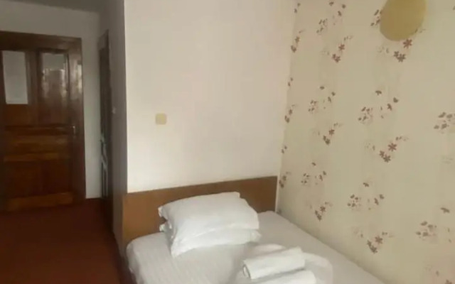 Pension La Viorel