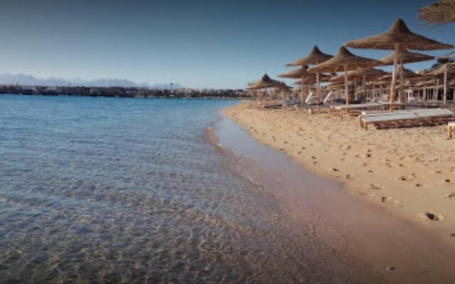 Designer Studio With Amazing Views of the Red Sea!