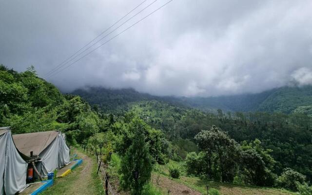 Jungle Live Inn Camps & Resorts