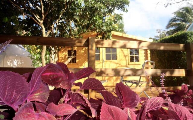 Bubble Dome Village- Glamping