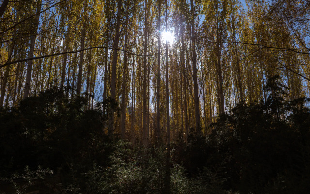 Le Mentok Wellness Resort