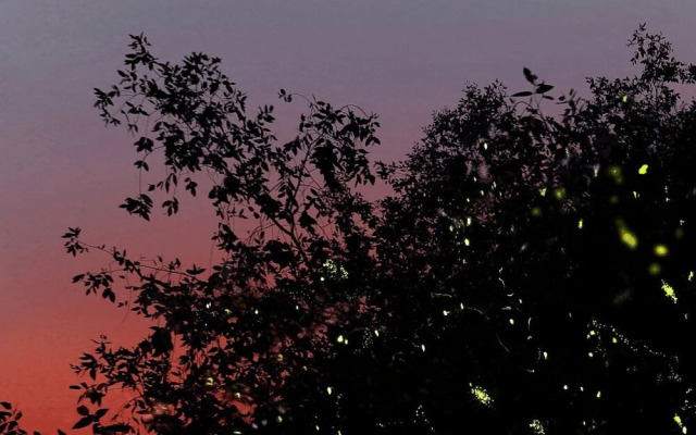 Sekinchan Seaview Homestay