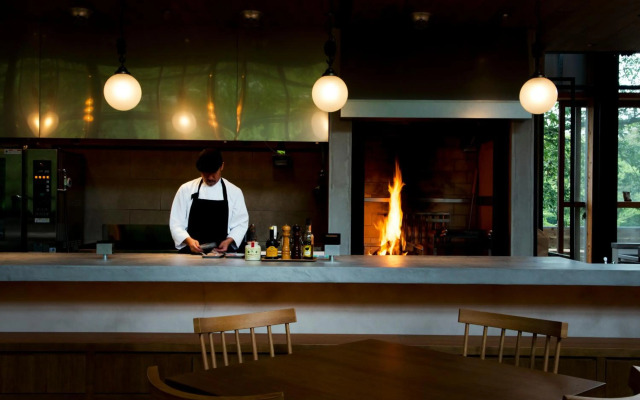 Hakone Retreat Fore