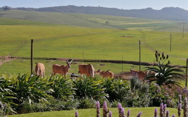 Rouxwil Country House