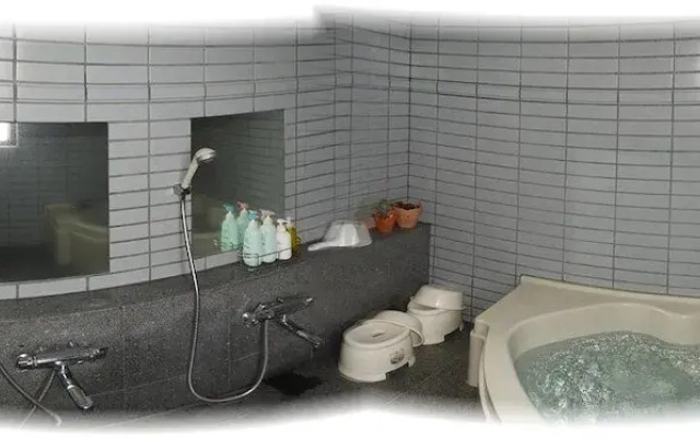 Pension Snowfall Meteor